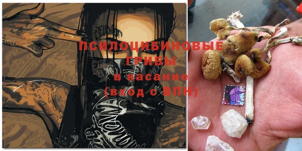 экстази Алзамай