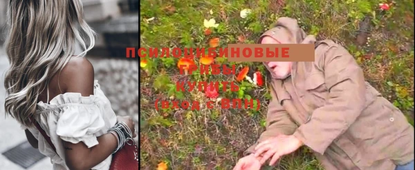 первитин Алексеевка